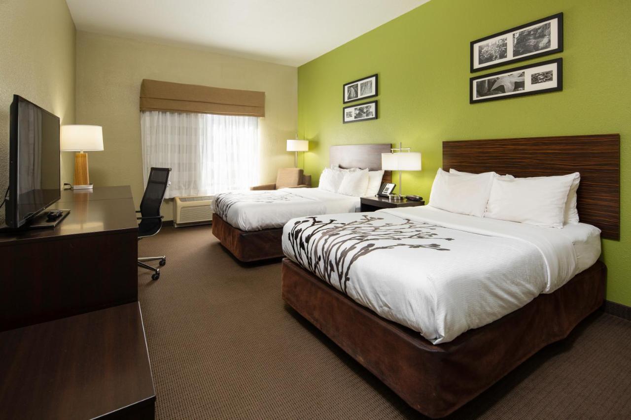 Double Room with Two Double Beds - Non-Smoking