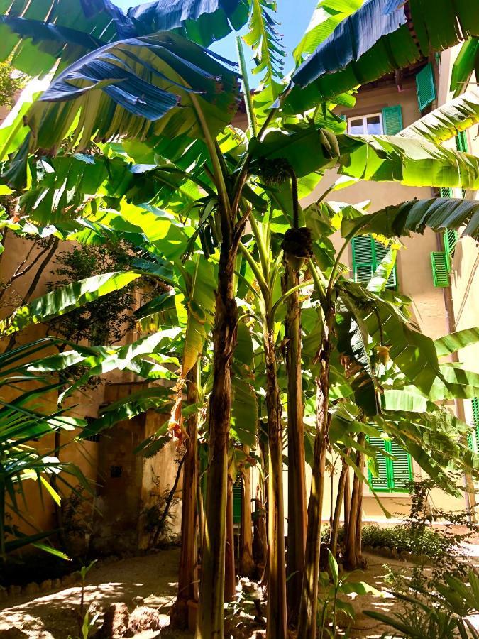 King Room Garden View