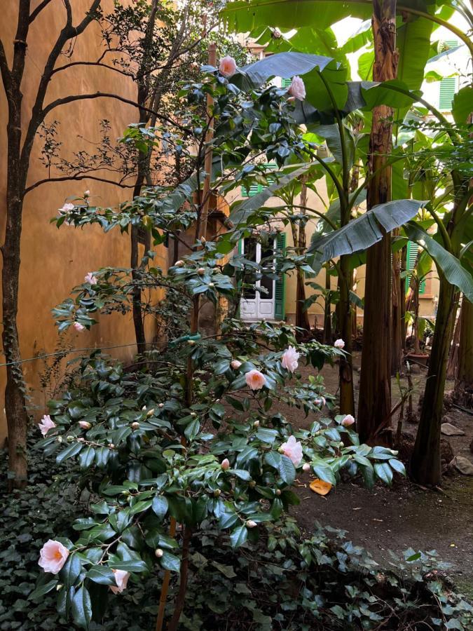 King Room Garden View