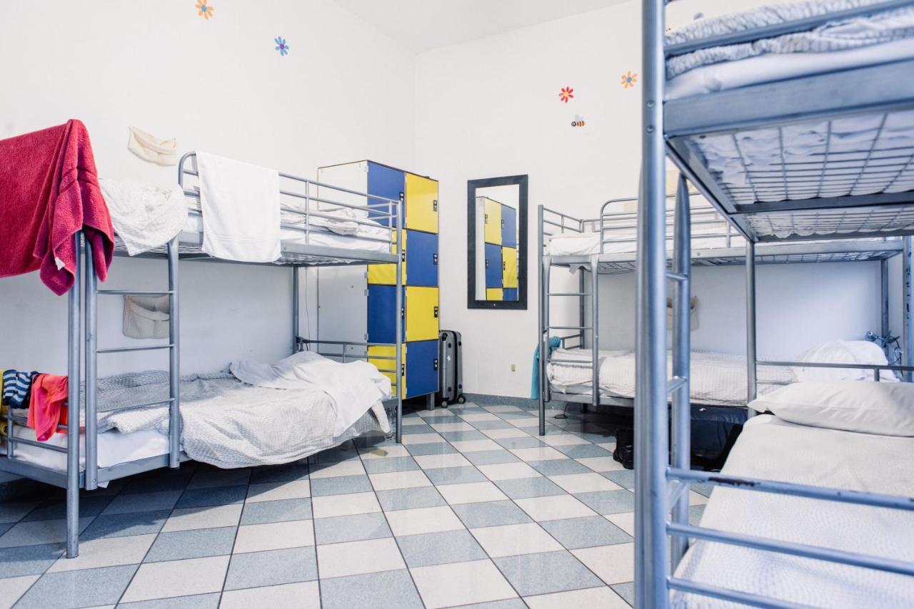 Bed in 6-Bed Dormitory Room