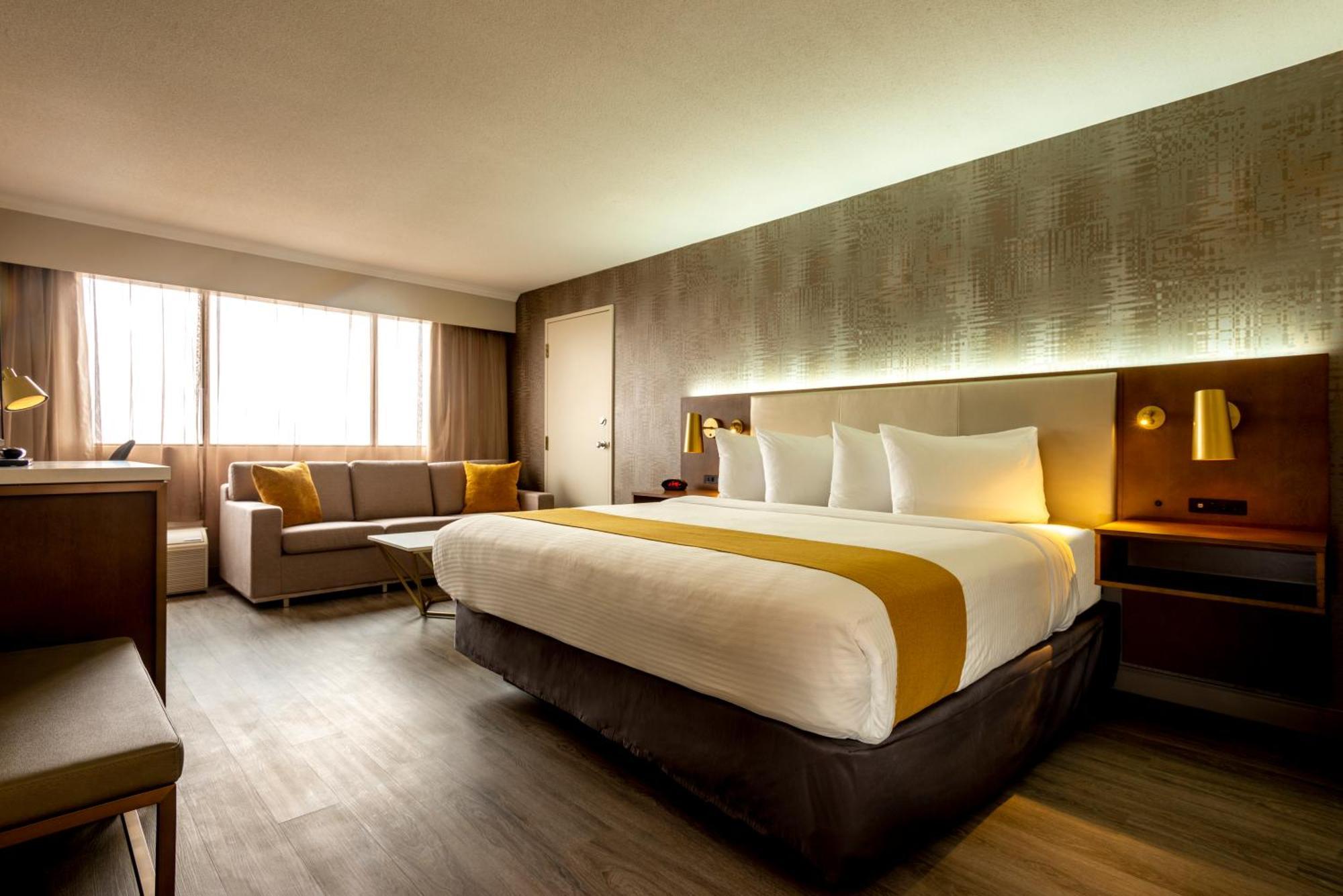 Studio Room King Bed,1363947428:JPEG