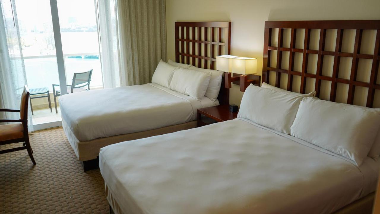 Comfort Studio Suite,1271570518:JPEG