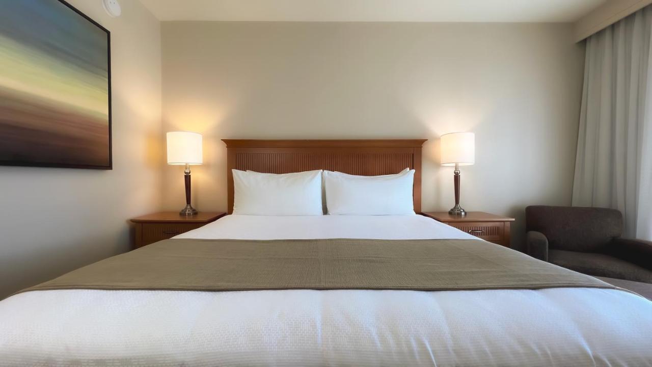 Coast Superior Room One King Bed,1324170883:JPEG