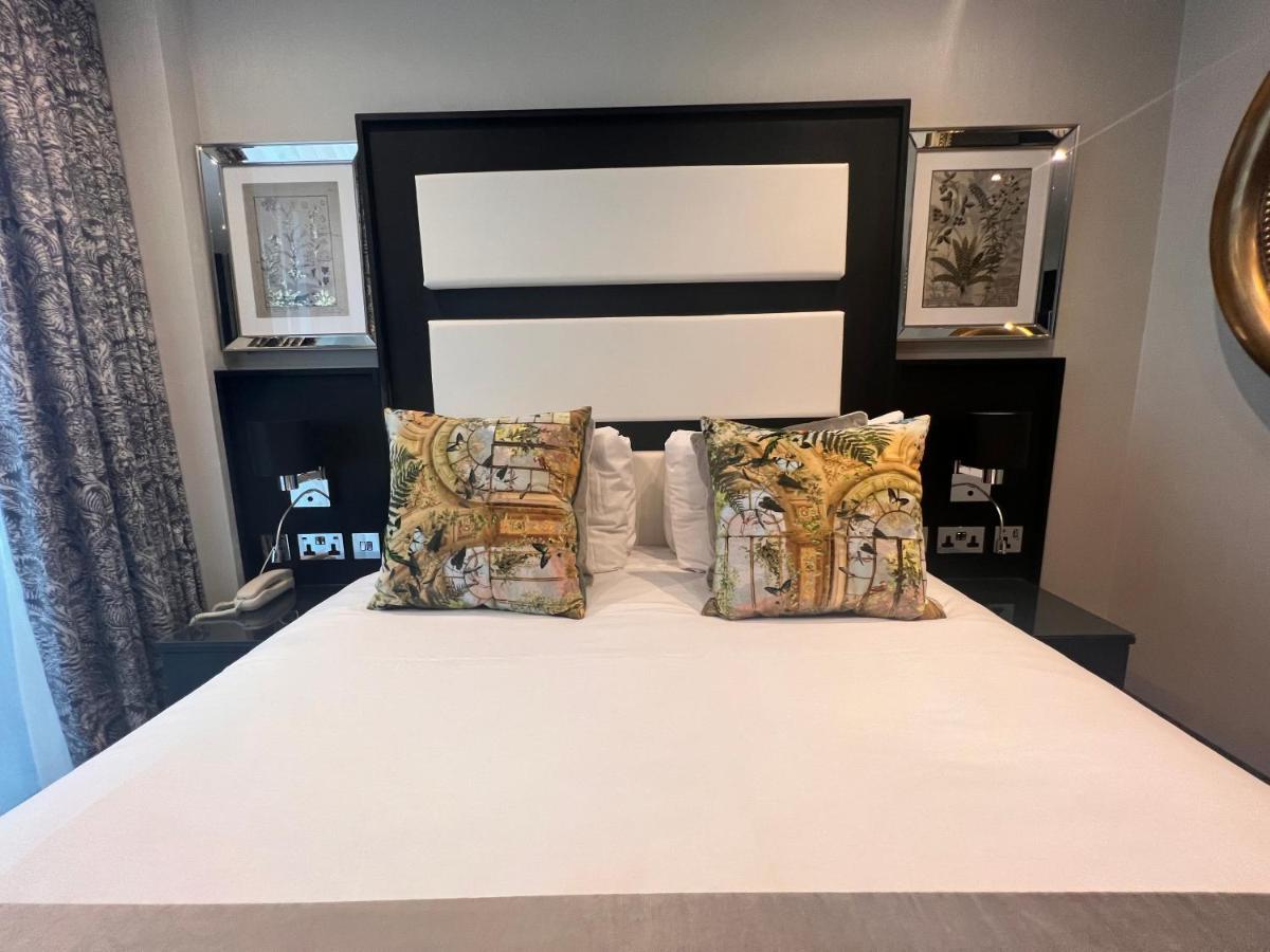 Junior Suite,1344570194:JPEG