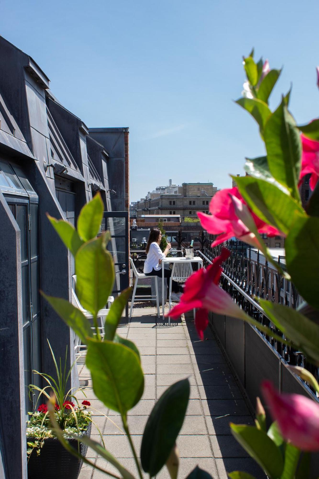 Premium Suite Terrace,1756425963:JPEG