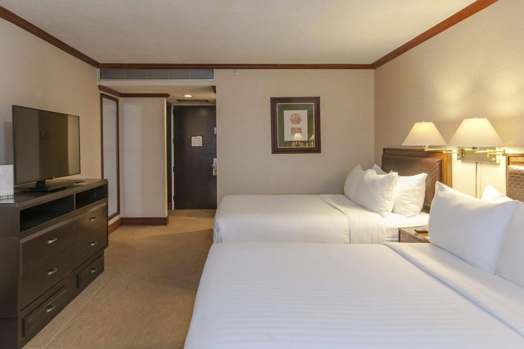 Executive Double Room with City View