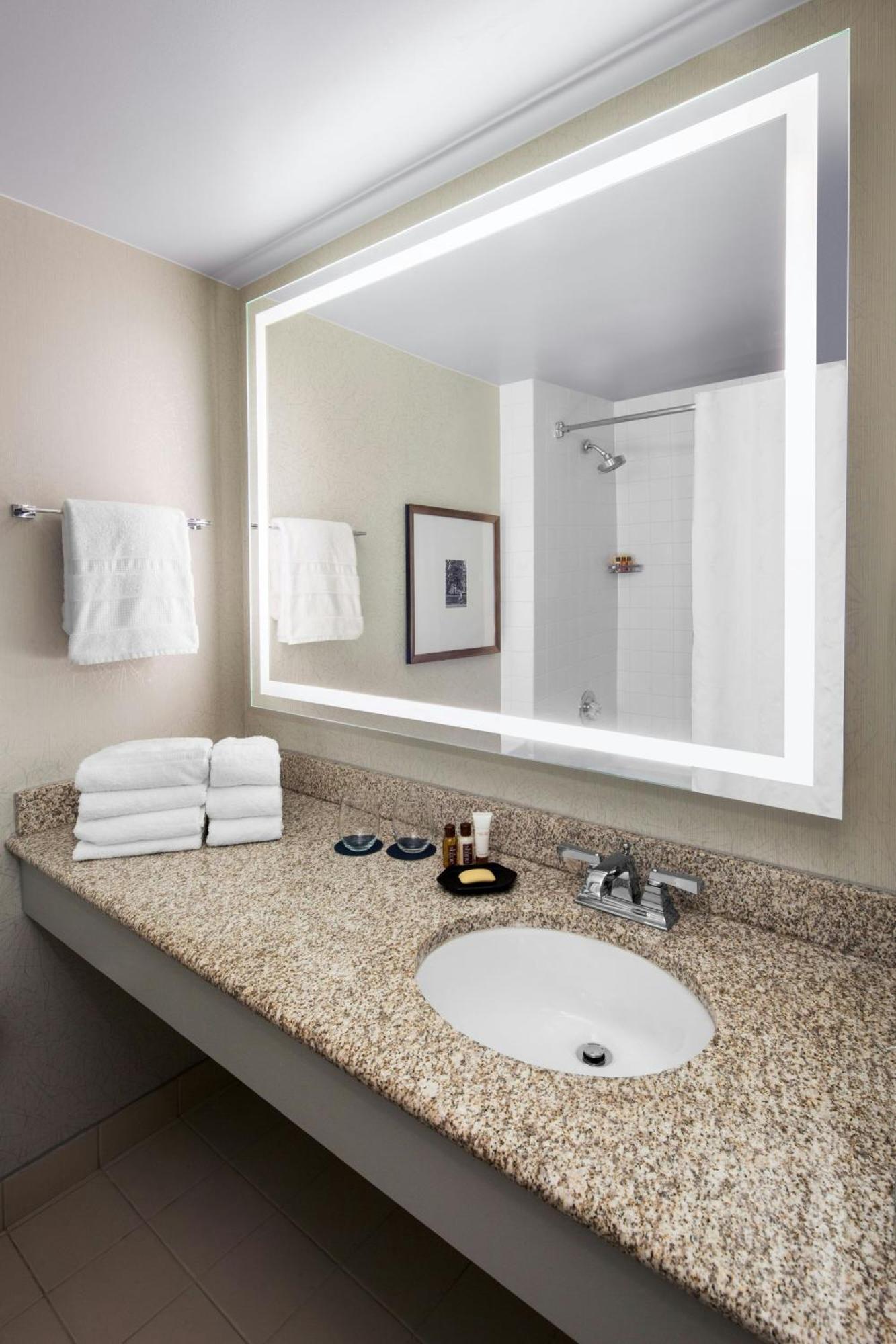 Traditional, Guest room, 1 King