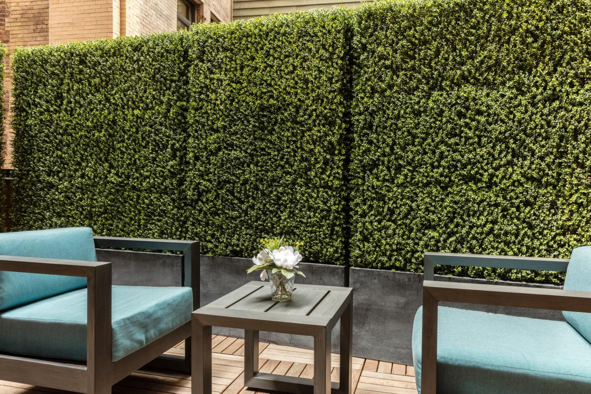 Deluxe King Room Terrace