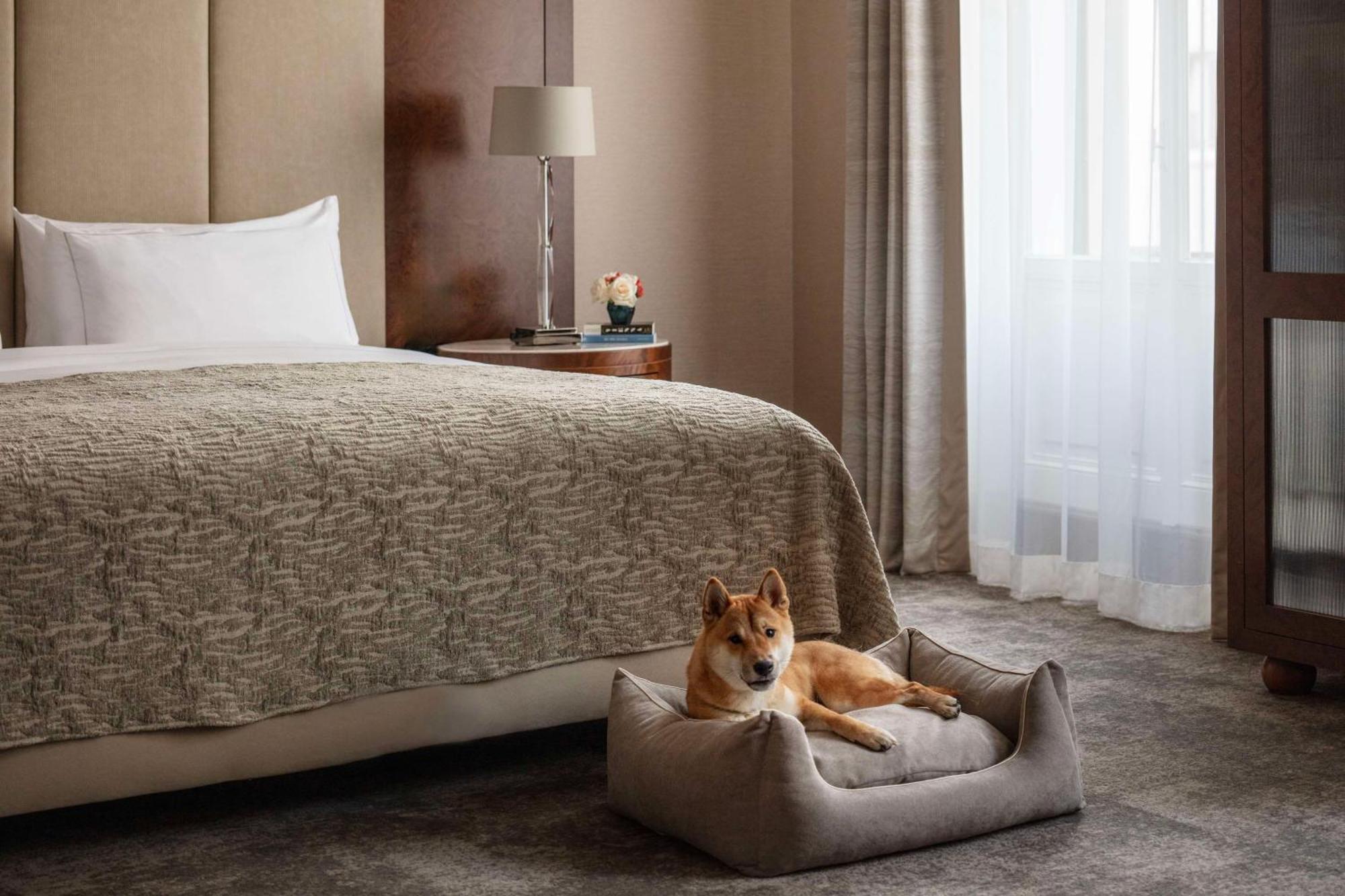 Grand Premium Room Extra Bed