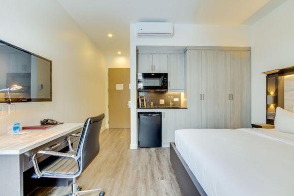 Deluxe room / Kitchenette / Artificial green wall view / Animals Permitted ($)