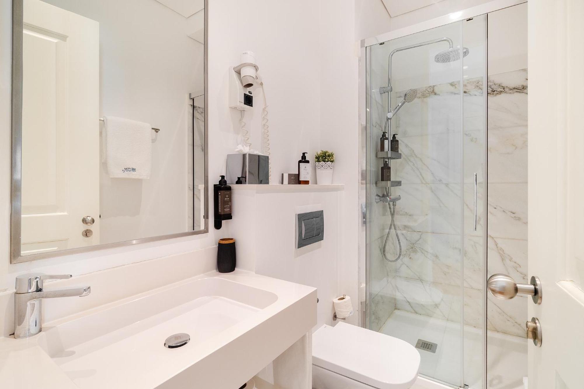 Deluxe One-Bedroom Apartment