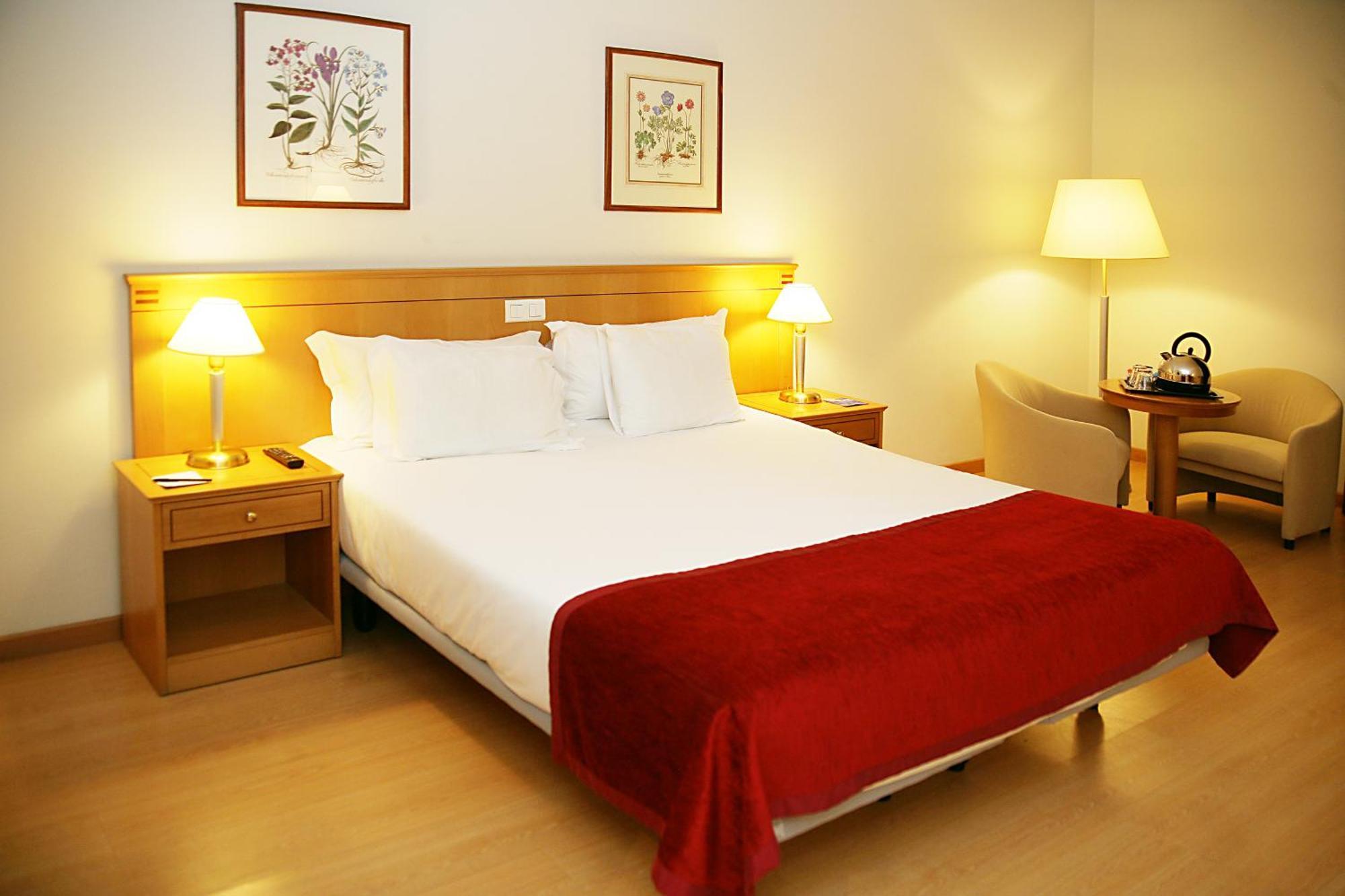 1 Double Bed, Premium, Non Smoking