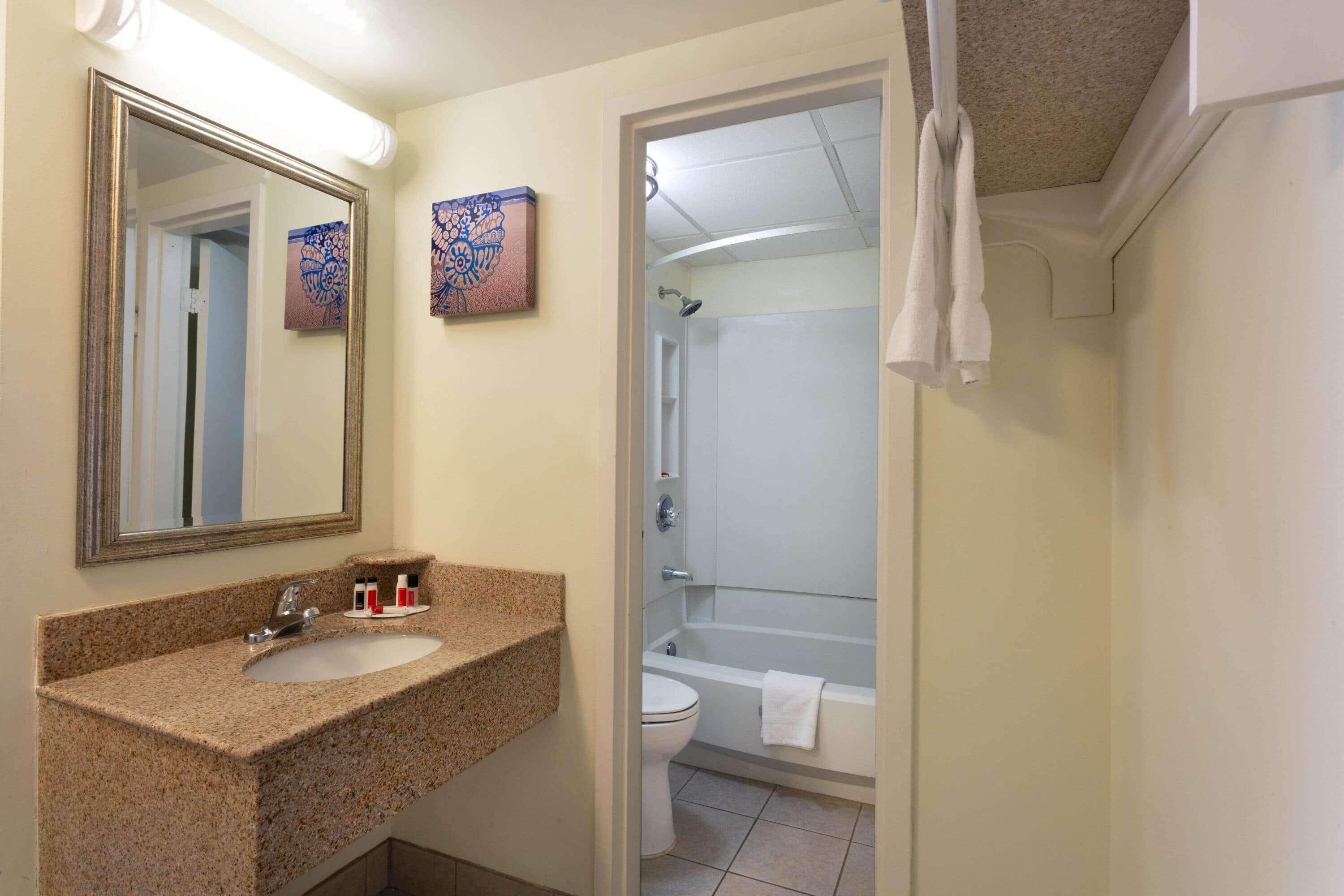 Double Room with Oceanfront View - Non-Smoking,442820469:JPEG