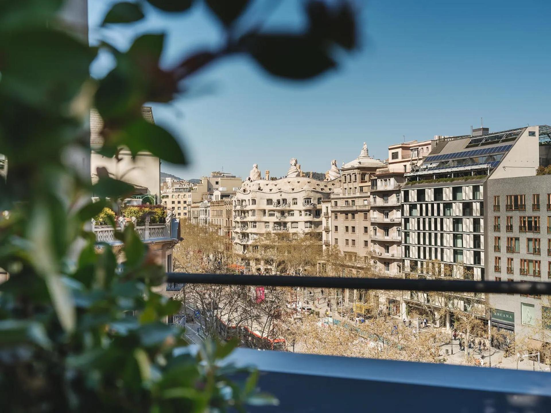 Superior Double or Twin Room Terrace