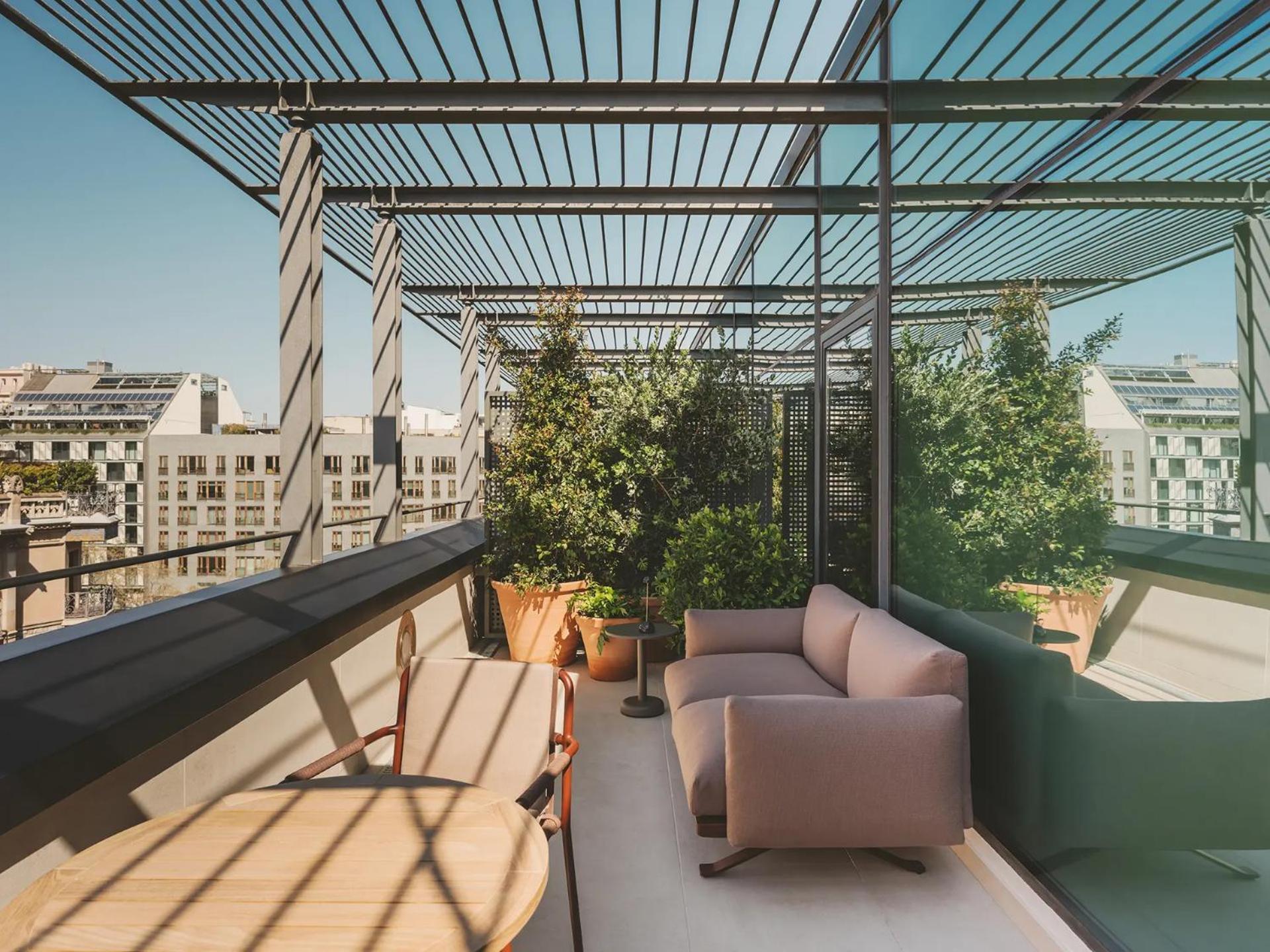 Junior Suite Terrace