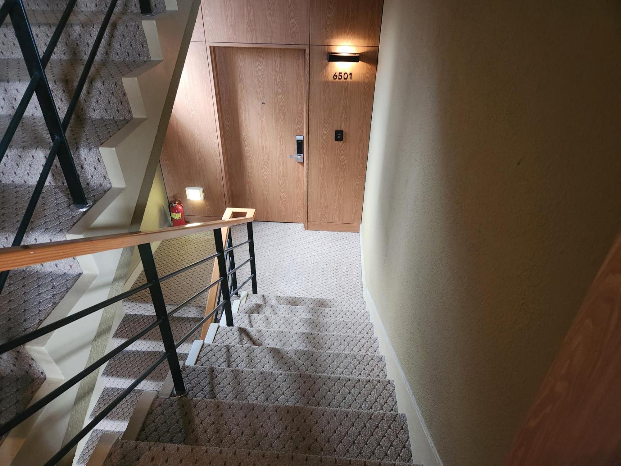 Studio (Limited View)