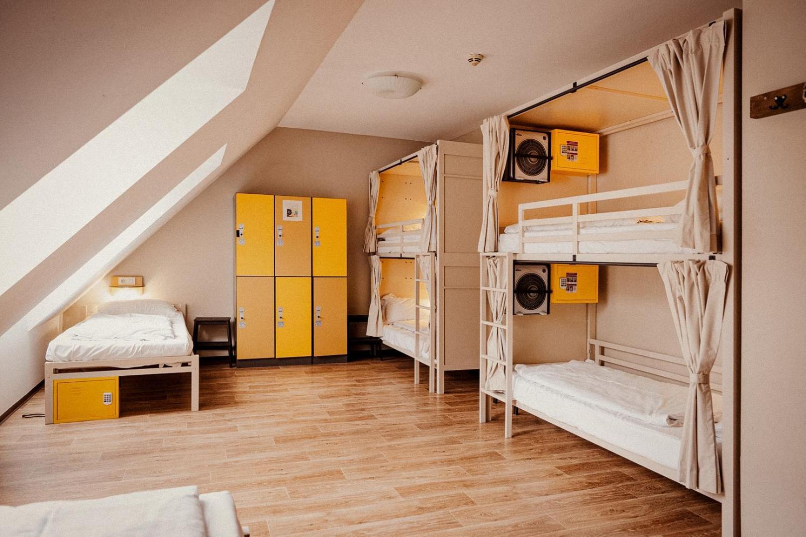 Single Bed 6-Bed Mixed Dormitory Room