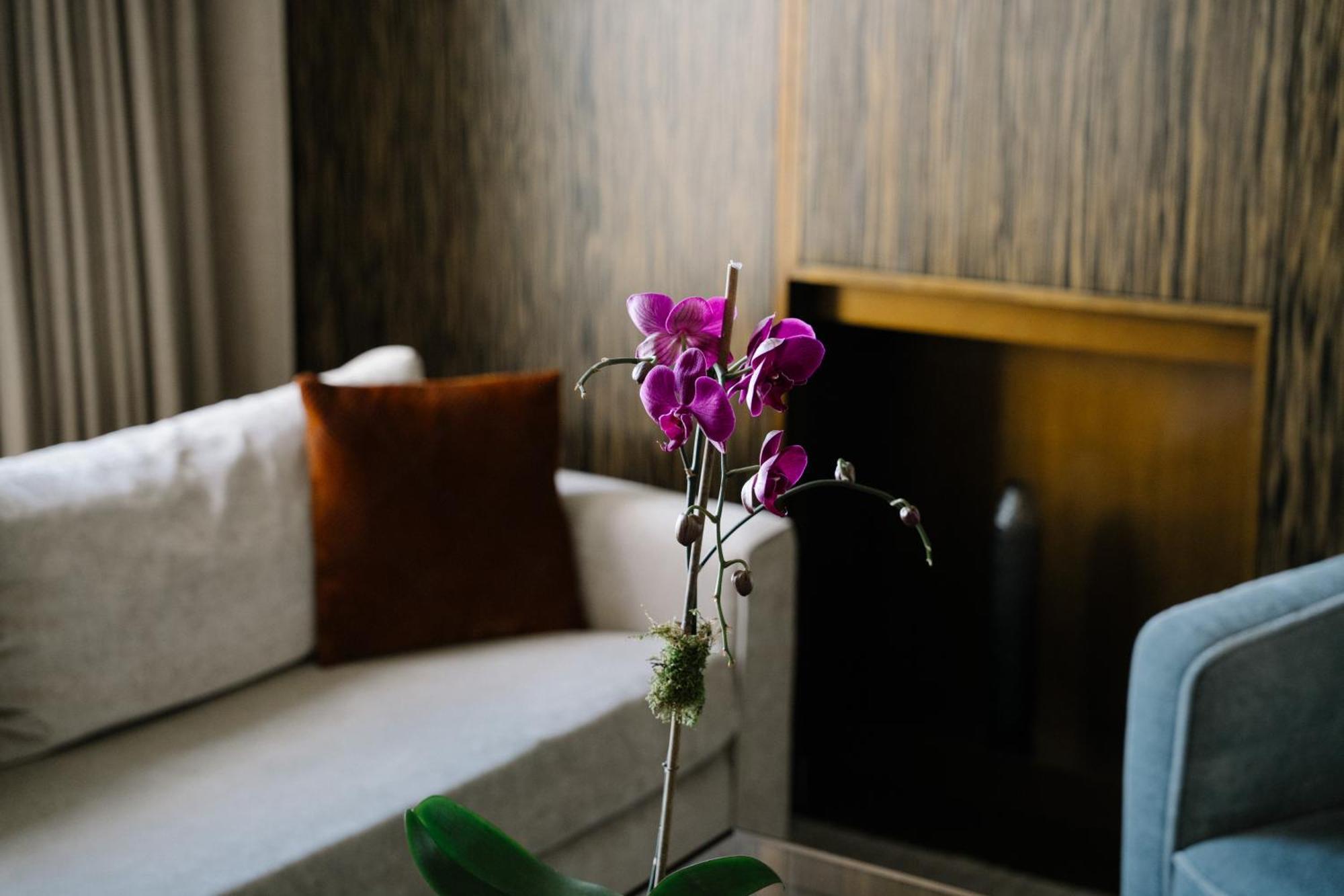 SoHi View Two-Bedroom Suite