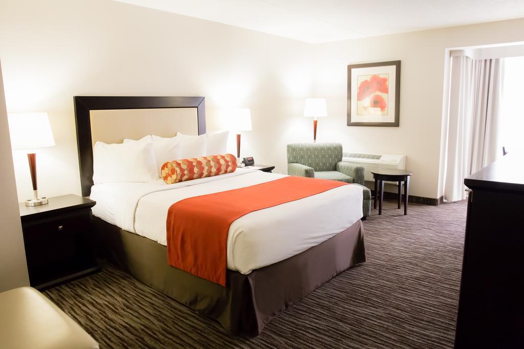 Queen Room - Non-Smoking,698706009:JPEG