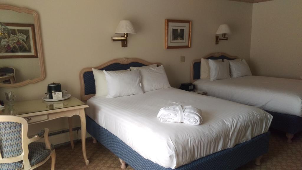 King Room,214362662:JPEG