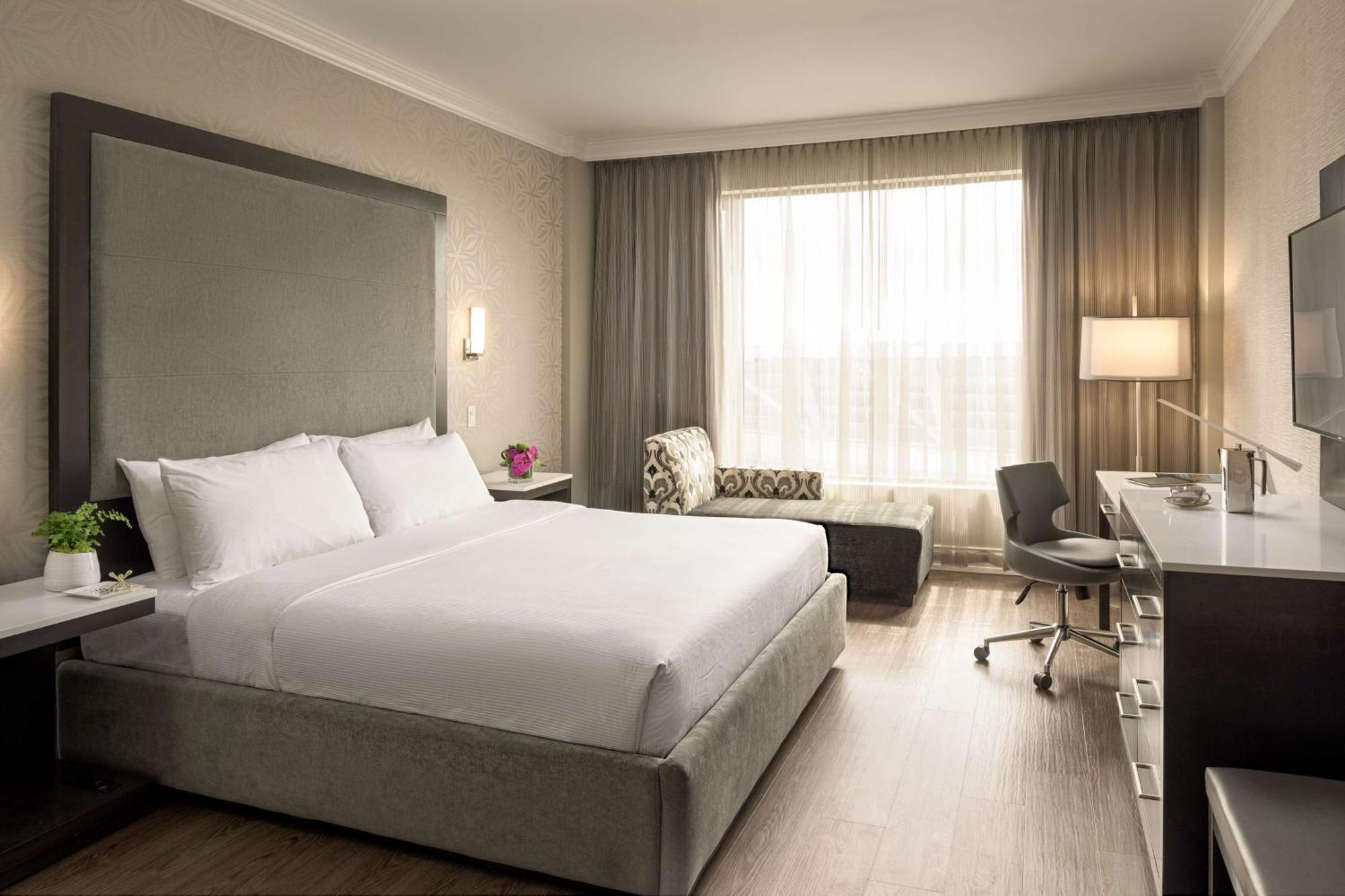 King Room - Non-Smoking,427016736:JPEG