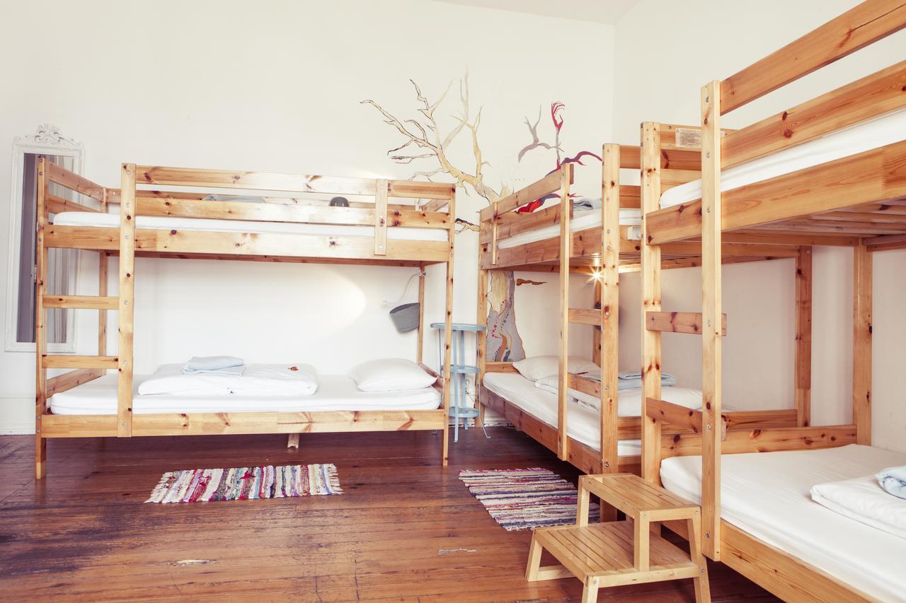 Bunk Bed Female Dormitory Room