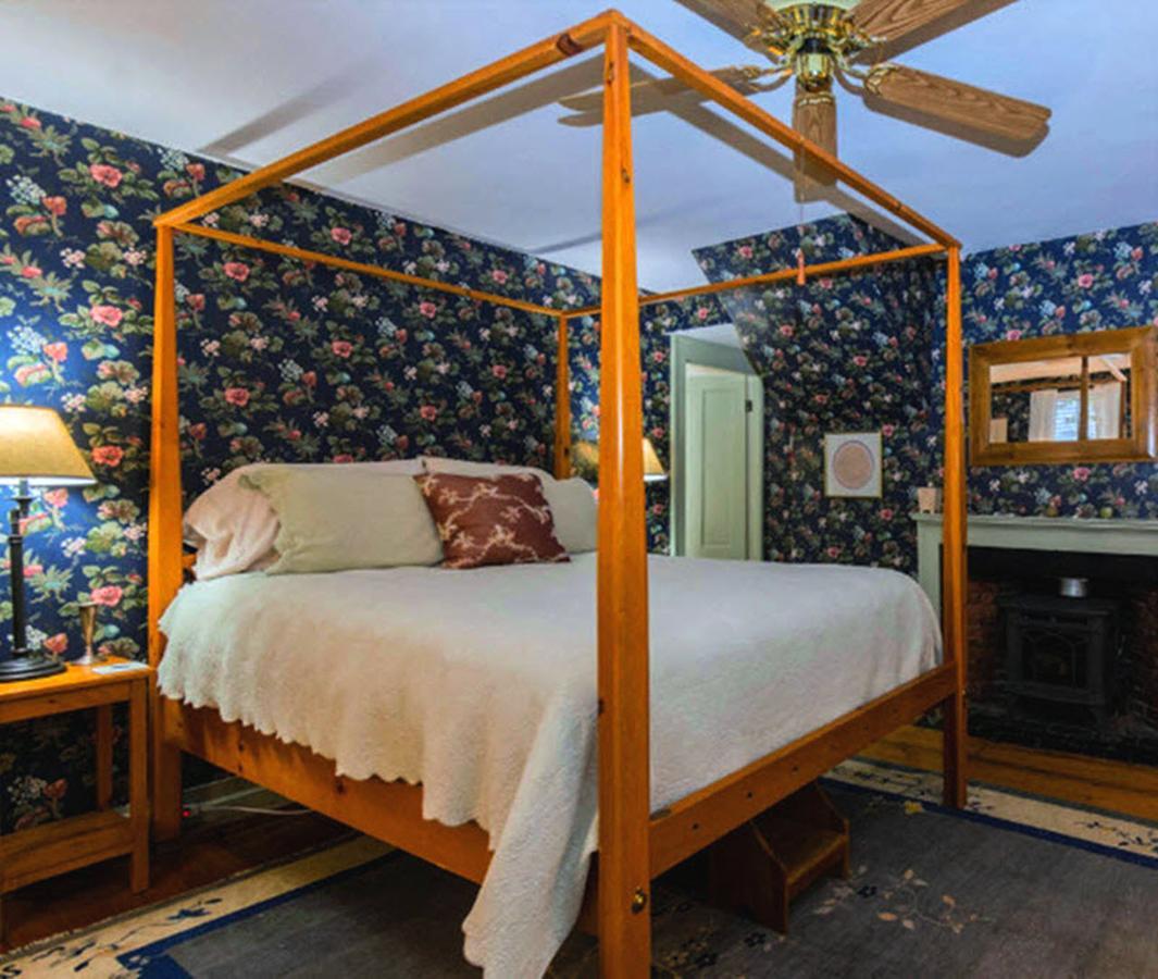 Queen Room - Aster