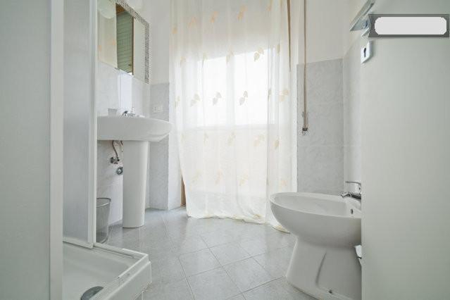 Large Double or Twin Room