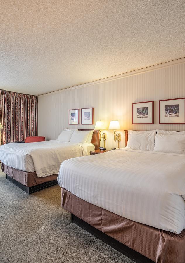 Standard Room with Two Double Beds,1210481176:JPEG