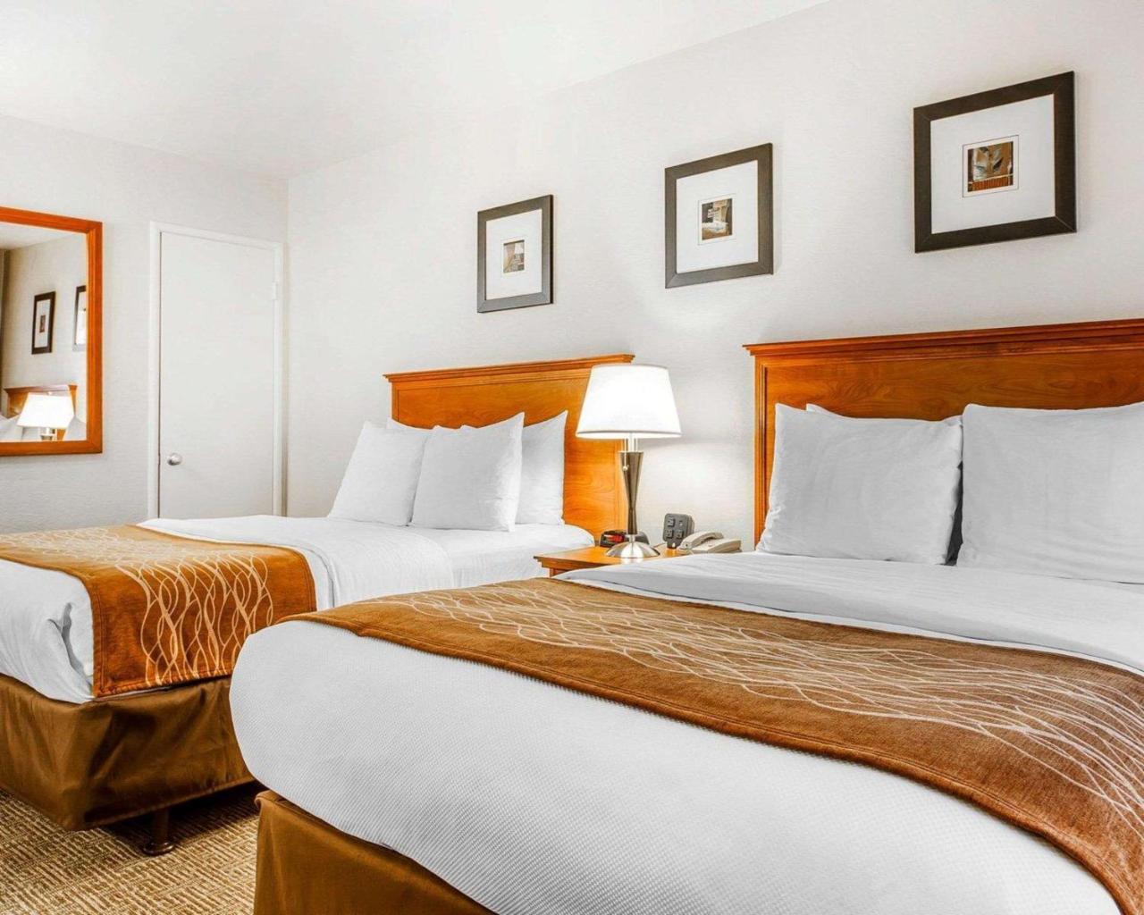 Standard Room with Two Double Beds Non-Smoking