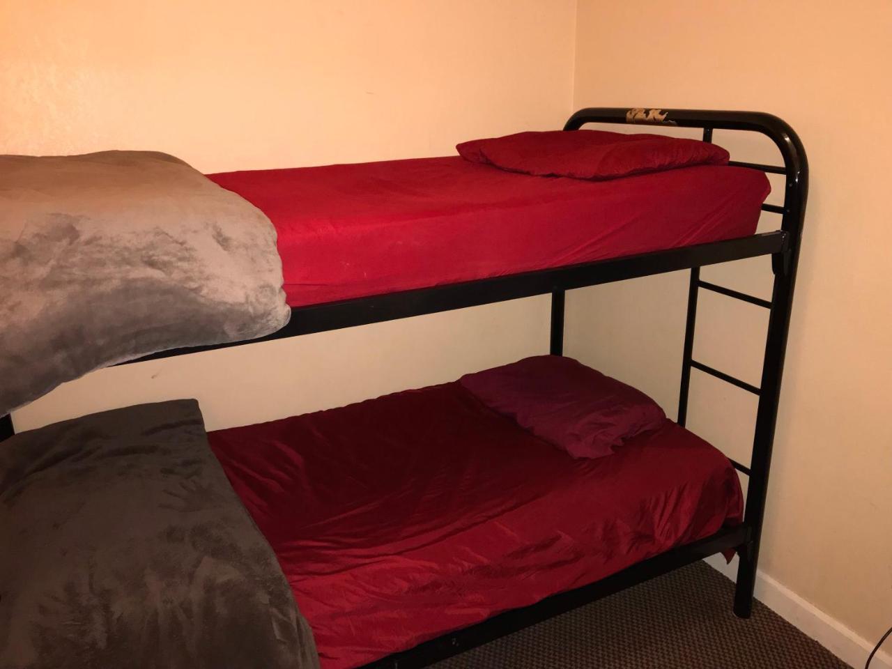 Bunk Bed in Mixed Dormitory Room