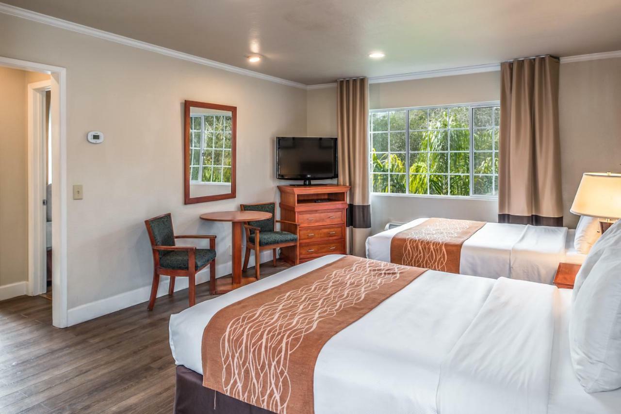Standard Room with Two Queen Beds - Non Smoking