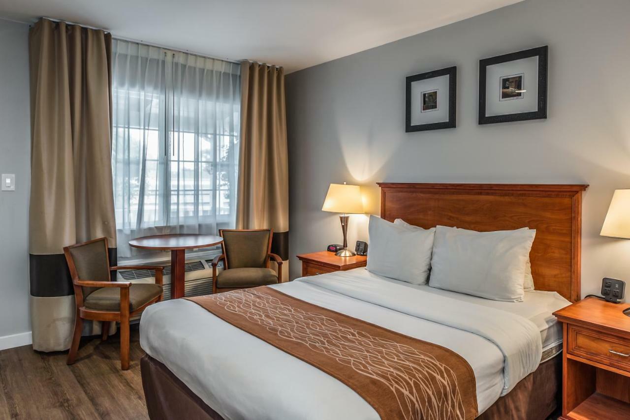 Standard Room with One Queen Bed - Non-Smoking