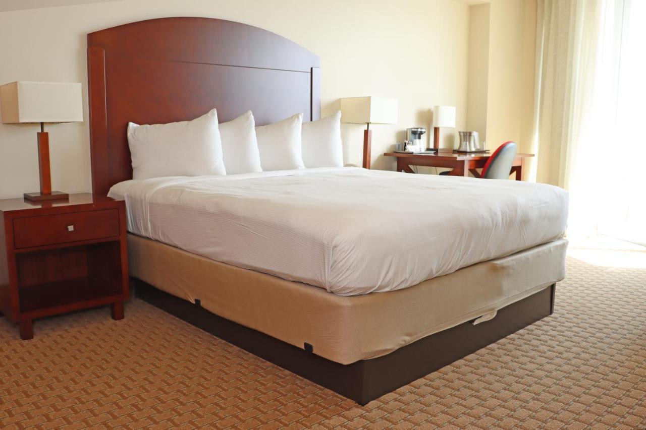 Deluxe Studio Suite,949582180:JPEG