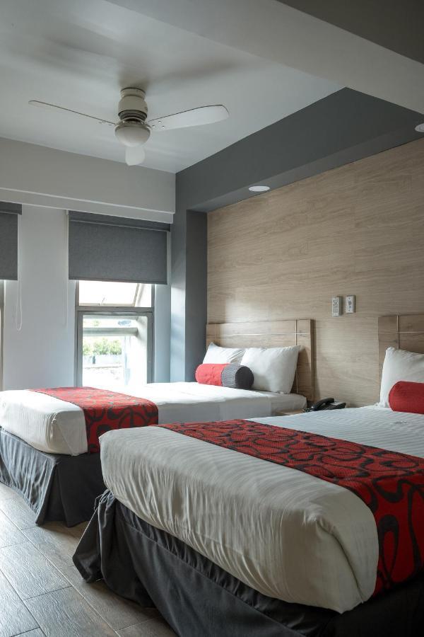 Double Room with Two Double Beds