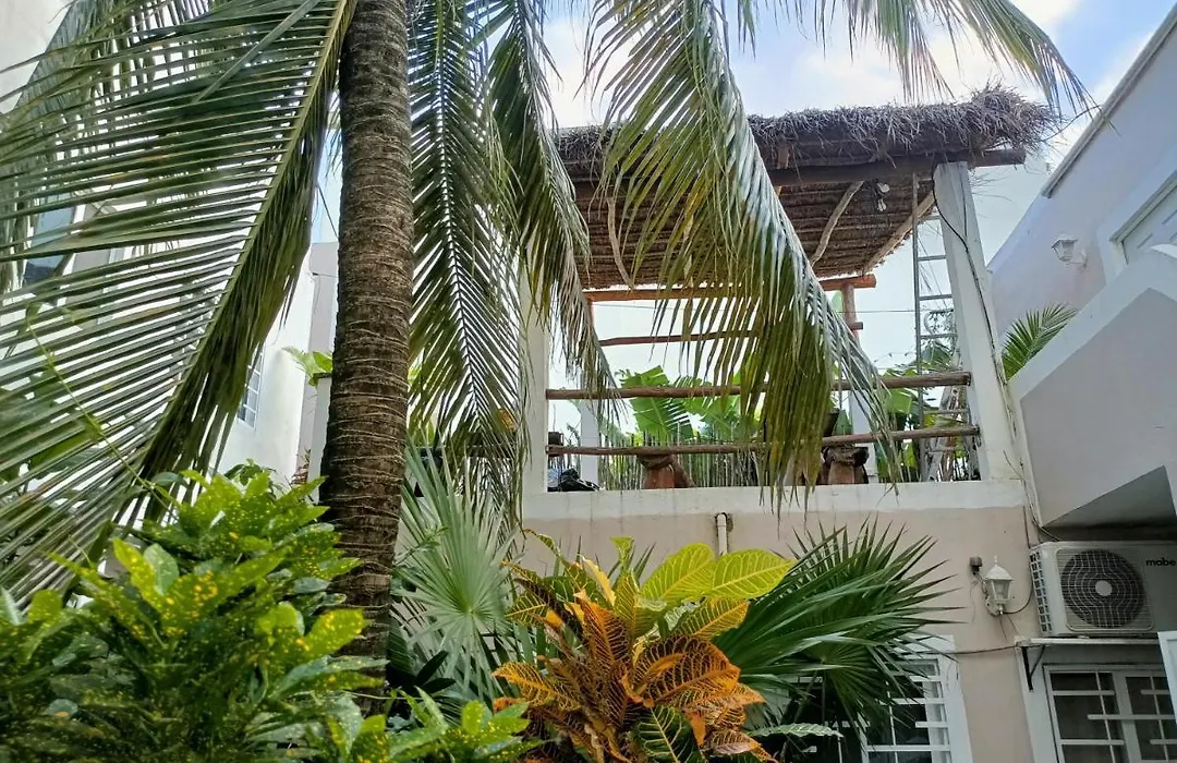 Kika Studios-1