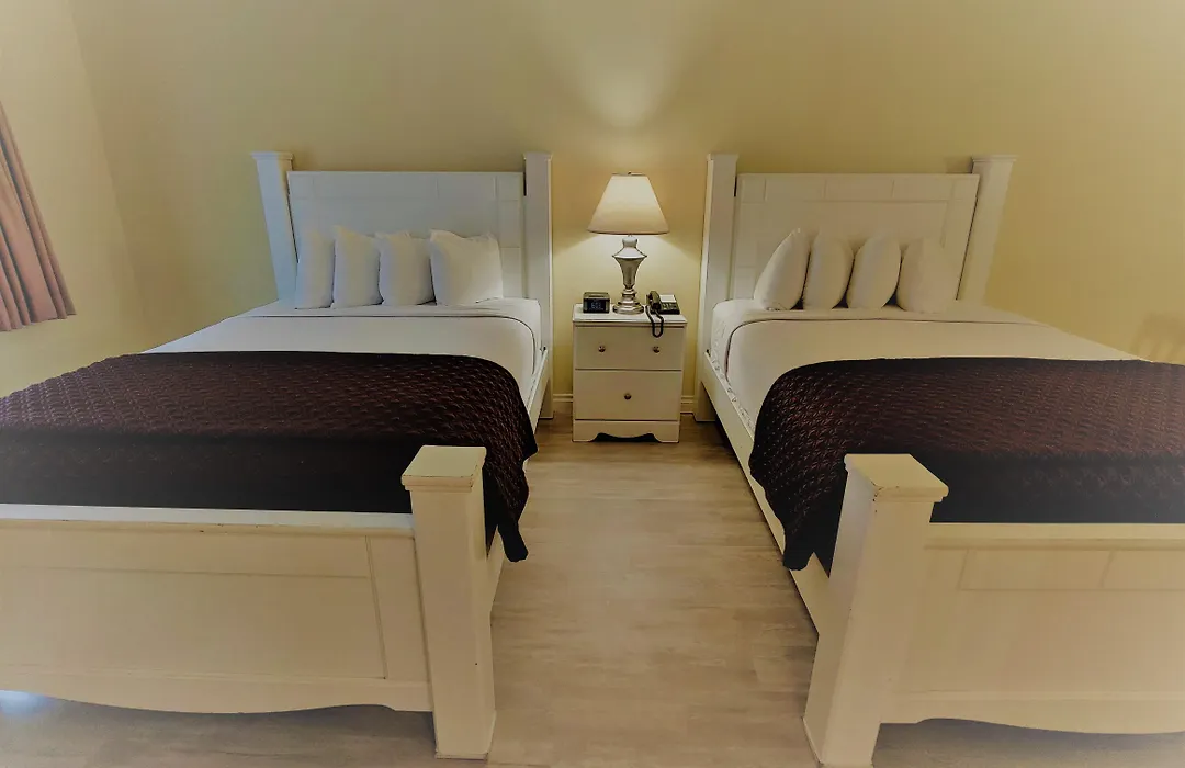 Hollywood Celebrity Hotel-1