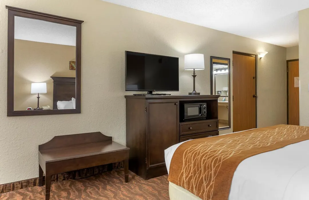 Comfort Inn At Thousand Hills-1
