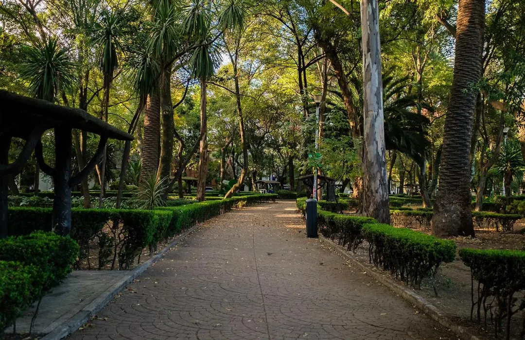 Nido Condesa-1