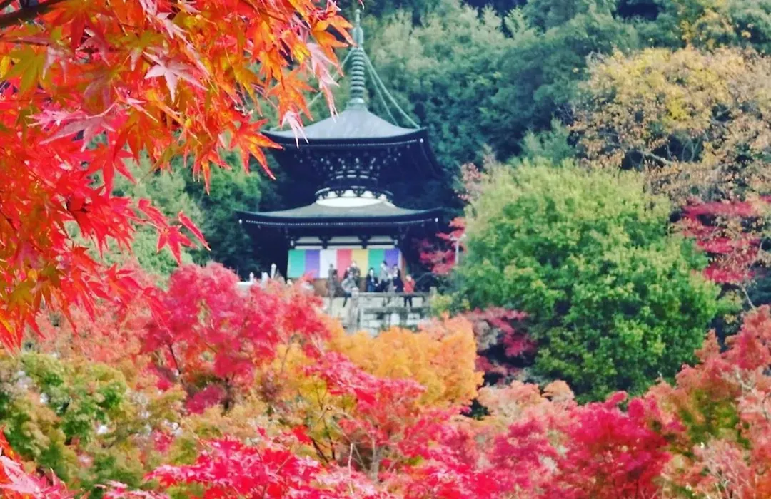 Yamamoto Ryokan-1