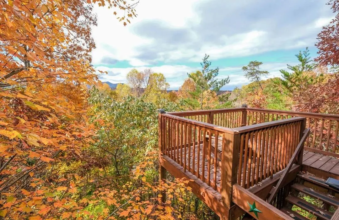 Beauty And The Bear A Fairytale In The Smokies-1