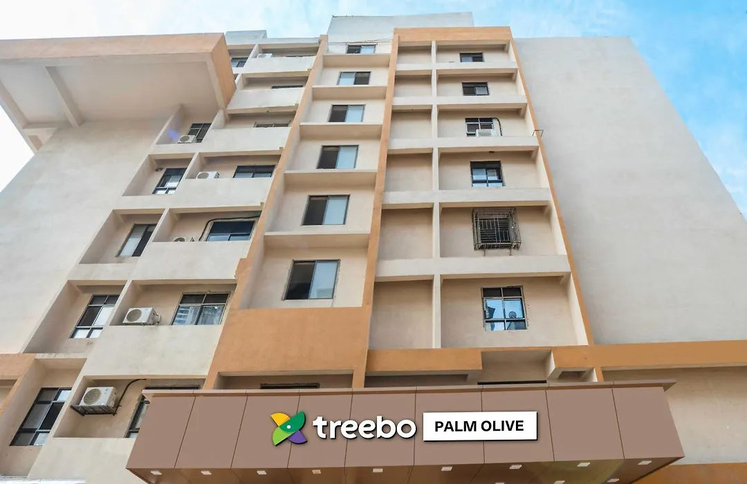 Treebo Palm Olive-1