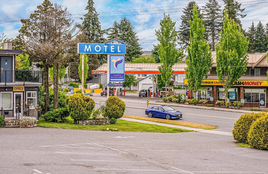 Bluebird Motel-1