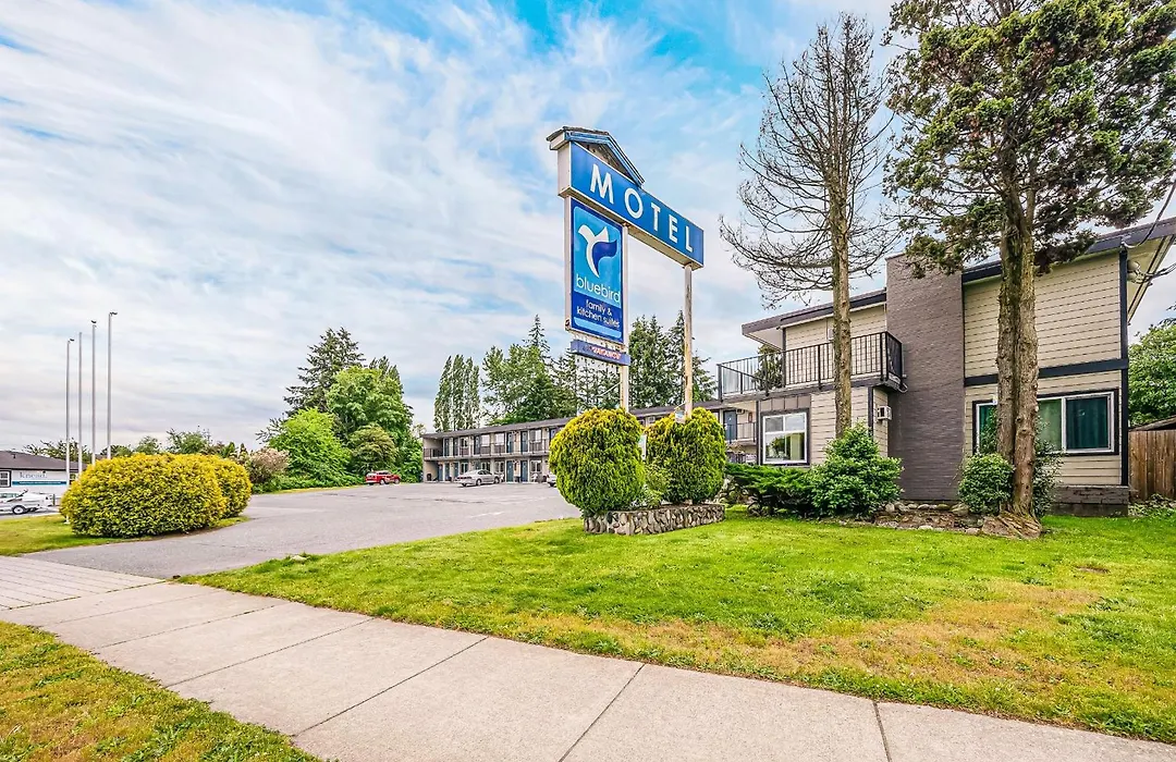 Bluebird Motel-1