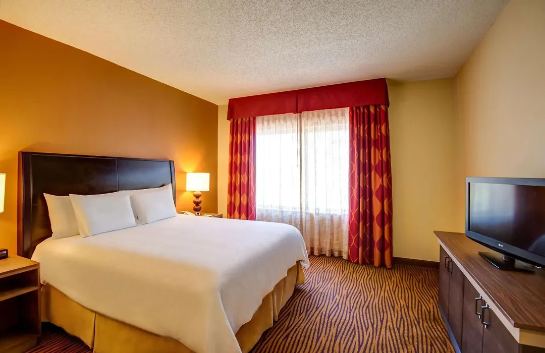 Hilton Garden Inn Tampa Ybor Historic District-1