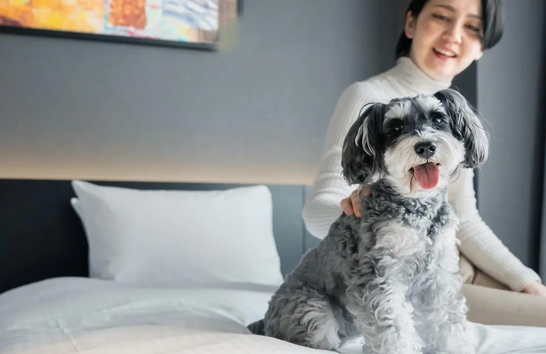Hotel Anddoggy Kyoto Nijo-1
