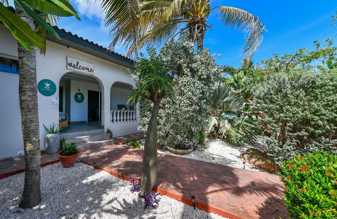 Aloe B&B-1
