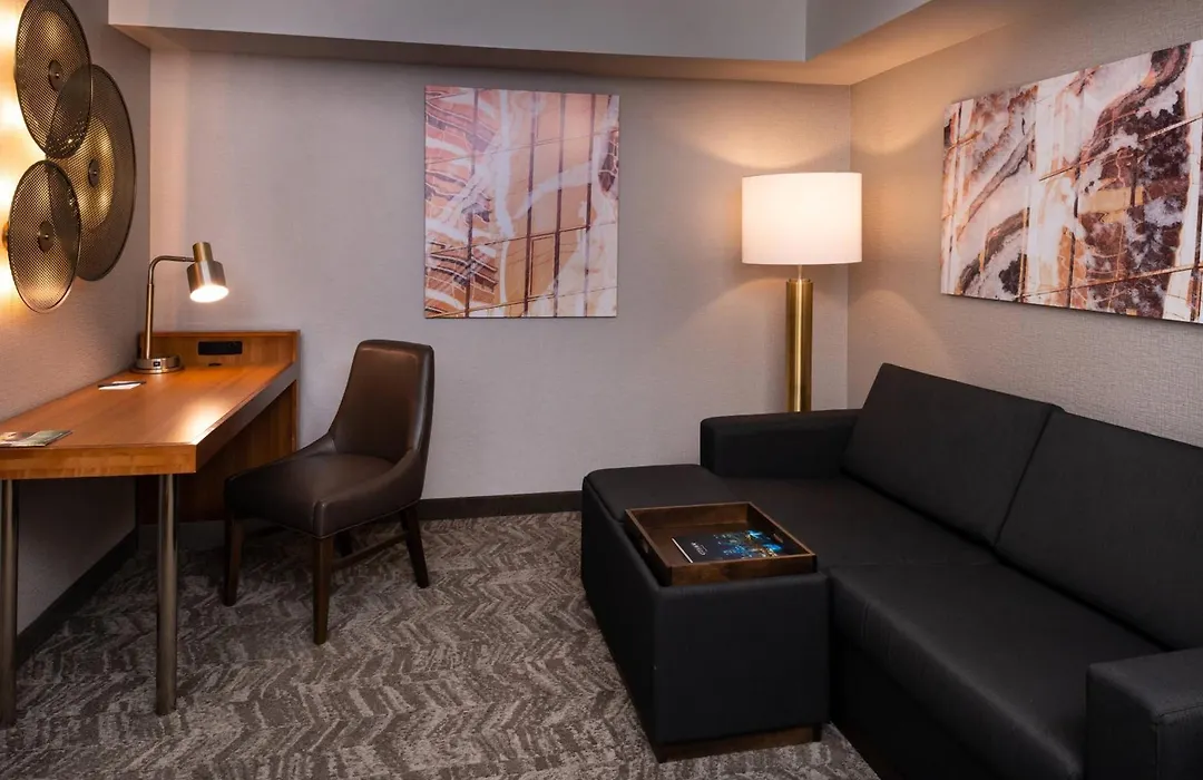 Springhill Suites By Marriott Pittsburgh North Shore-1