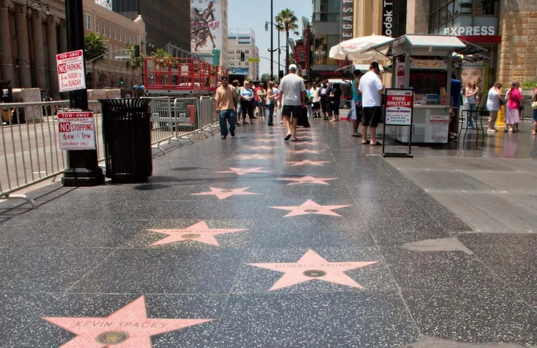 Hollywood Star-1