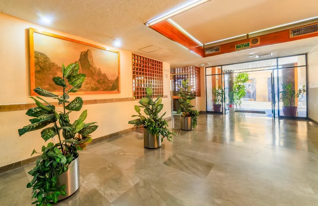 Oyo Hotel Hidalgo-1